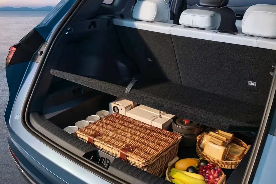 UP TO 2065 | TRUNK CAPACITY
